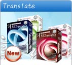 Transwhiz 10.0 translation software